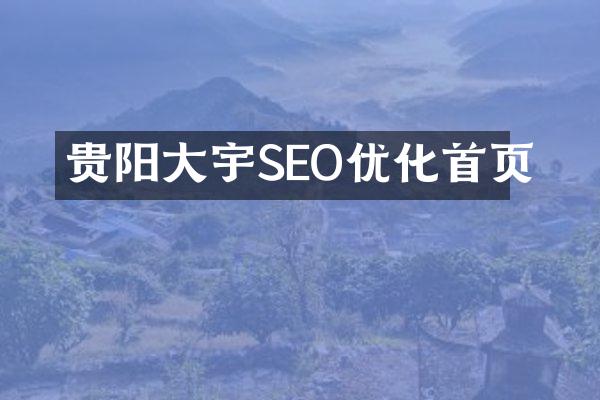 贵阳大宇SEO优化首页