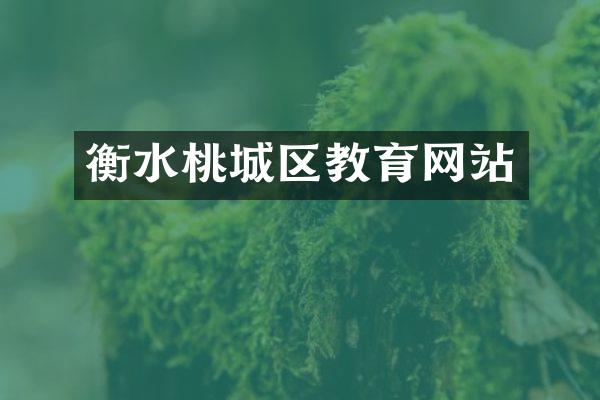 衡水桃城区教育网站