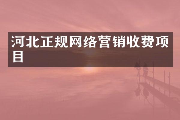 河北正规网络营销收费项目