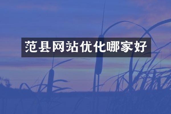 范县网站优化哪家好