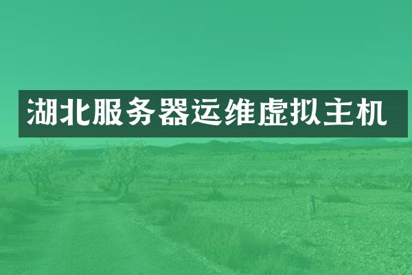 湖北服务器运维虚拟主机