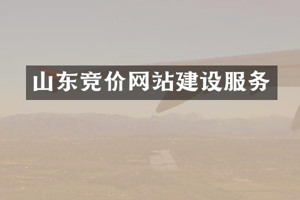 山东竞价网站建设服务