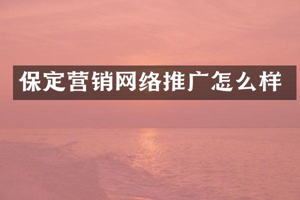 保定营销网络推广怎么样