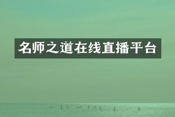 名师之道在线直播平台