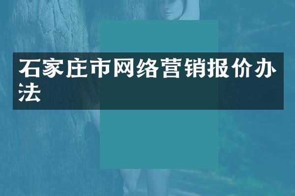 石家庄市网络营销报价办法