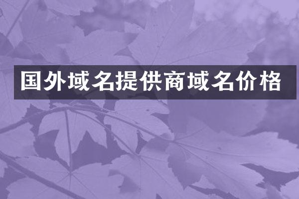 国外域名提供商域名价格
