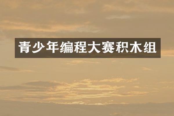 青少年编程大赛积木组