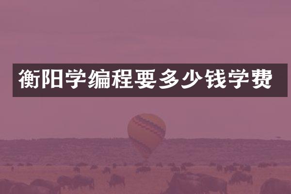 衡阳学编程要多少钱学费