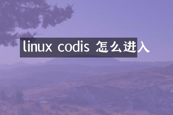 linux codis 怎么进入