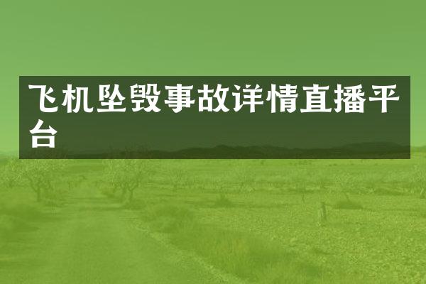 飞机坠毁事故详情直播平台
