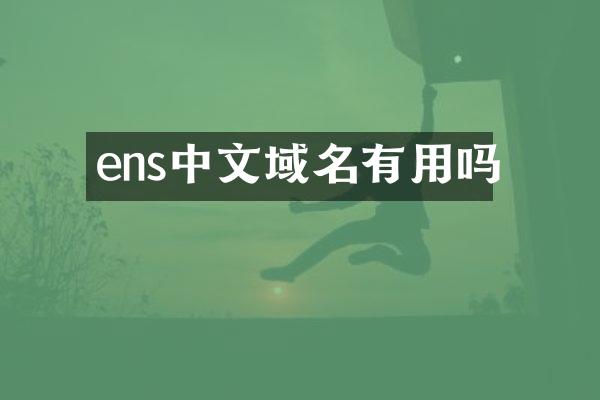 ens中文域名有用吗