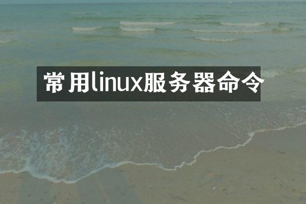 常用linux服务器命令