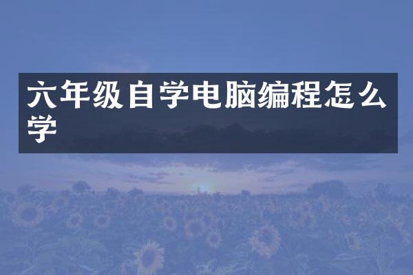 六年级自学电脑编程怎么学