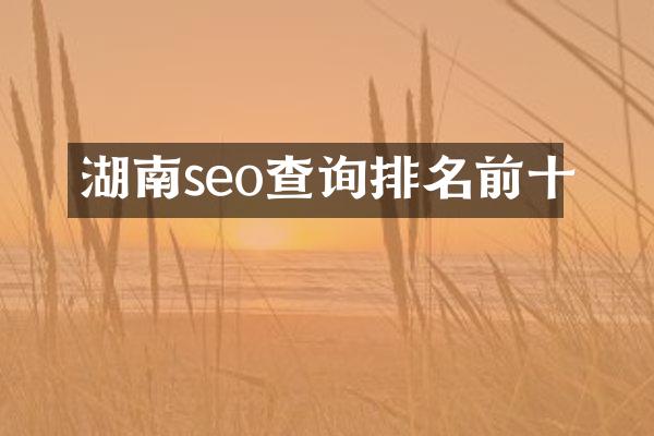 湖南seo查询排名前十
