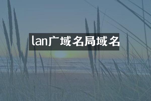lan广域名局域名
