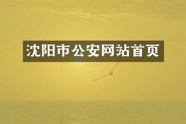 沈阳市公安网站首页