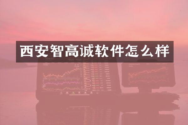 西安智高诚软件怎么样