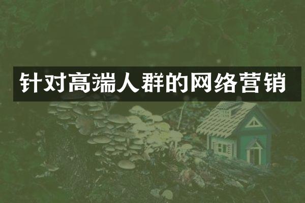 针对高端人群的网络营销