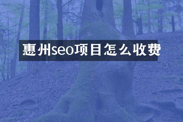 惠州seo项目怎么收费