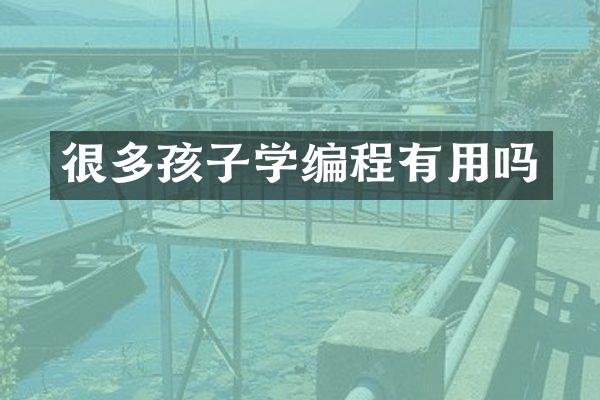 很多孩子学编程有用吗