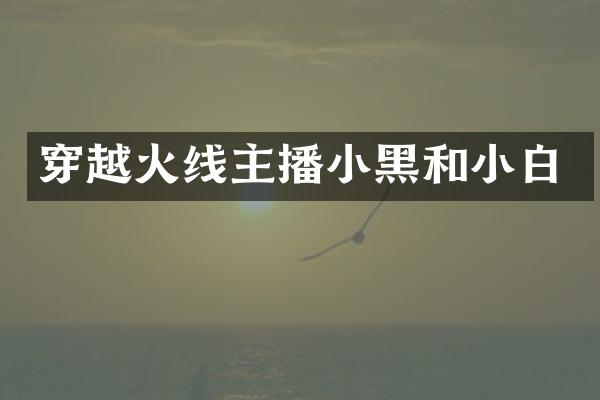 穿越火线主播小黑和小白
