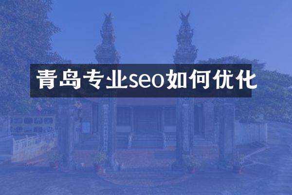 青岛专业seo如何优化
