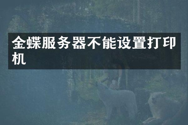 金蝶服务器不能设置打印机