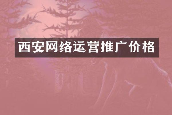 西安网络运营推广价格