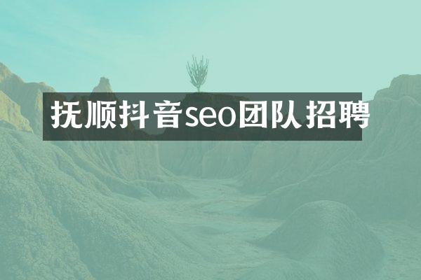 抚顺抖音seo团队招聘