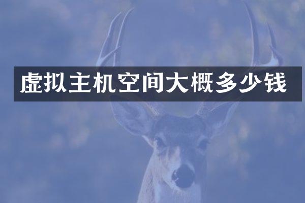 虚拟主机空间大概多少钱
