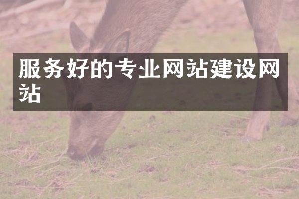 服务好的专业网站建设网站