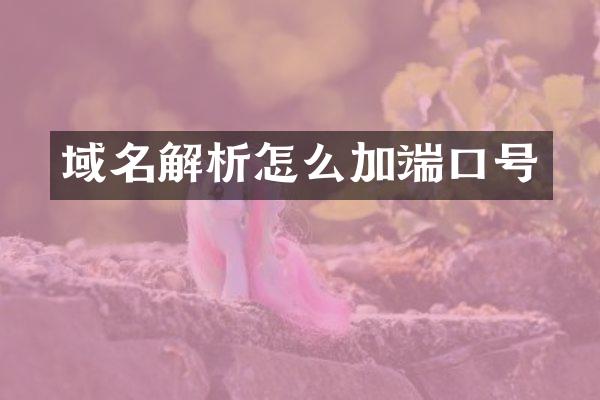 域名解析怎么加端口号