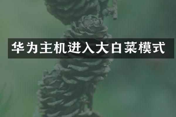 华为主机进入大白菜模式