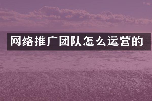 网络推广团队怎么运营的