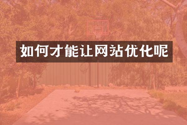 如何才能让网站优化呢