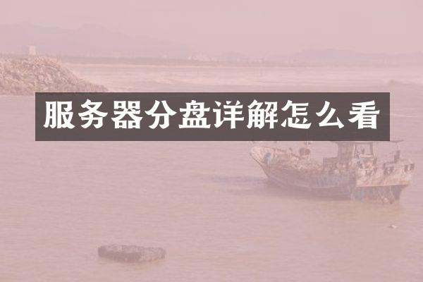 服务器分盘详解怎么看