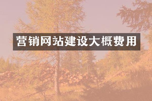 营销网站建设大概费用