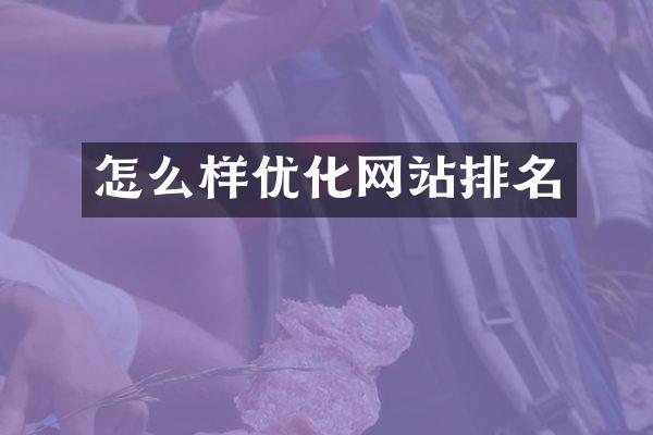怎么样优化网站排名