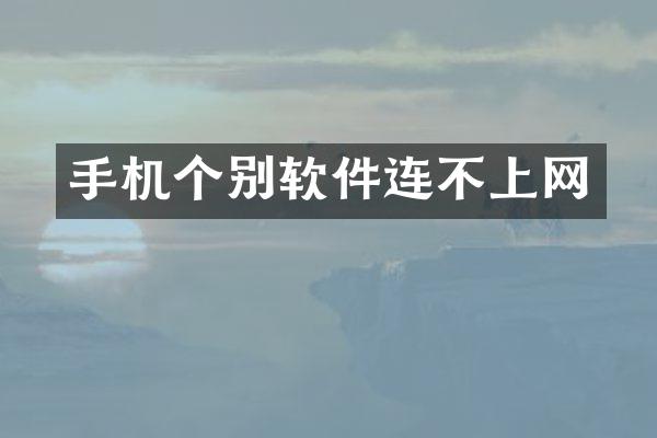 手机个别软件连不上网