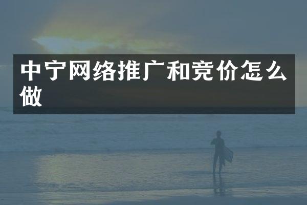 中宁网络推广和竞价怎么做