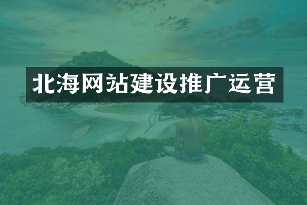 北海网站建设推广运营