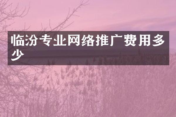 临汾专业网络推广费用多少
