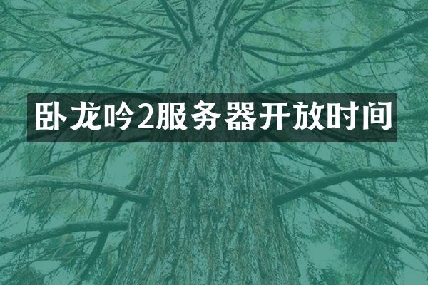 卧龙吟2服务器开放时间
