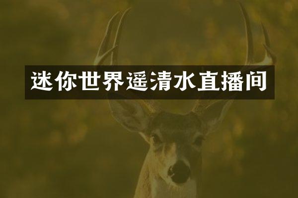 迷你世界遥清水直播间