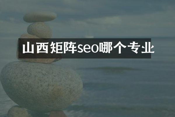 山西矩阵seo哪个专业