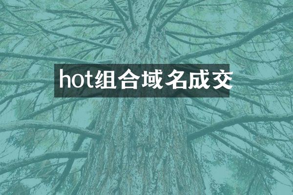 hot组合域名成交