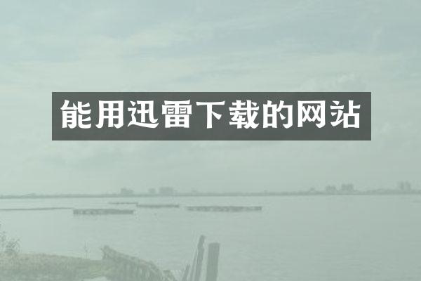 能用迅雷下载的网站
