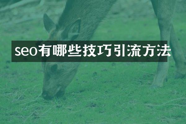 seo有哪些技巧引流方法