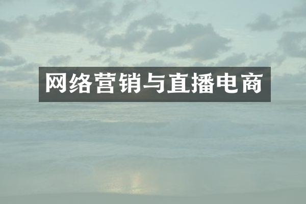 网络营销与直播电商