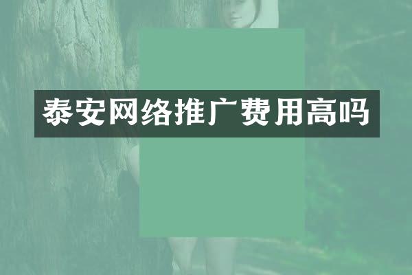 泰安网络推广费用高吗